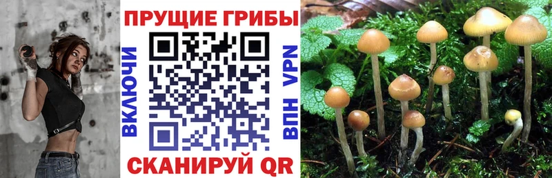 Псилоцибиновые грибы ЛСД Людиново