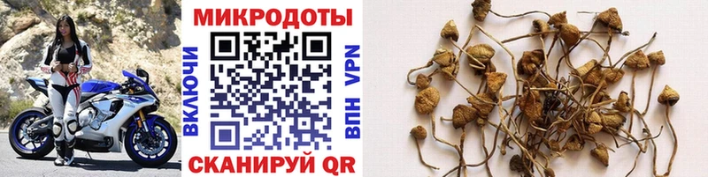 Галлюциногенные грибы ЛСД  Людиново 